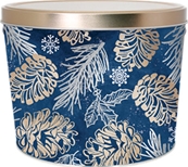*2 Gallon Winter Pine